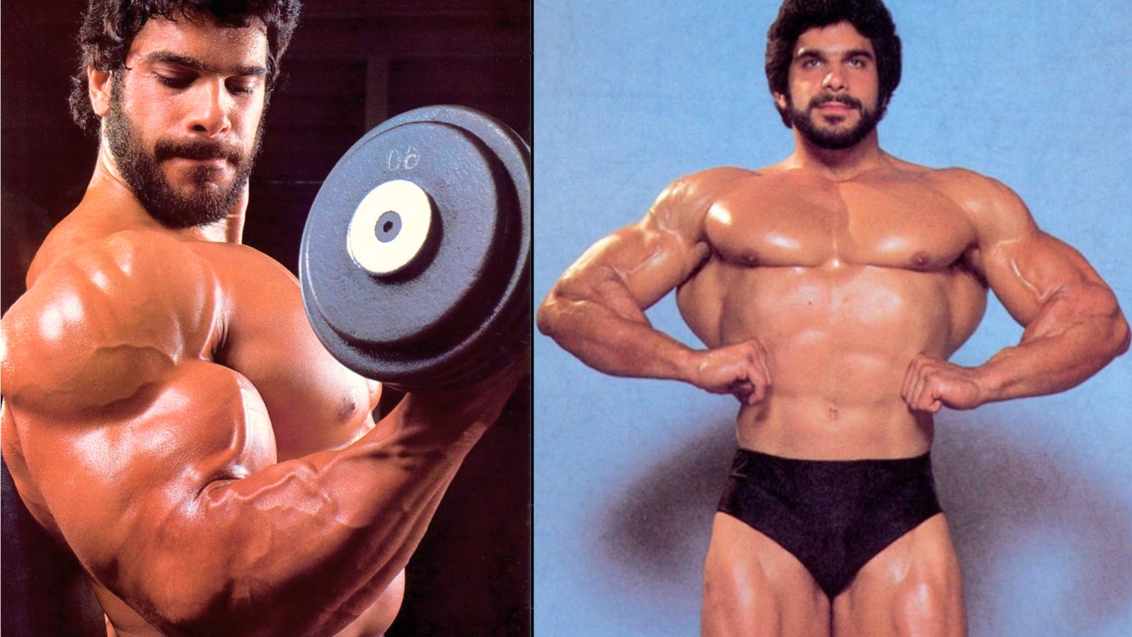 Un scientifique de l'exercice critique les séances d'entraînement de Lou Ferrigno et déclare qu'il est « l'homme le plus intelligent à avoir jamais pratiqué le culturisme » – Fitness Volt