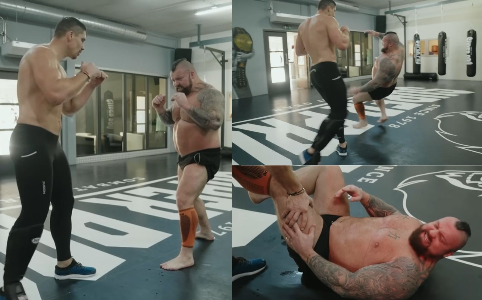 Eddie Hall terrassé par le coup de pied du champion de kickboxing Rico Verhoeven – Fitness Volt