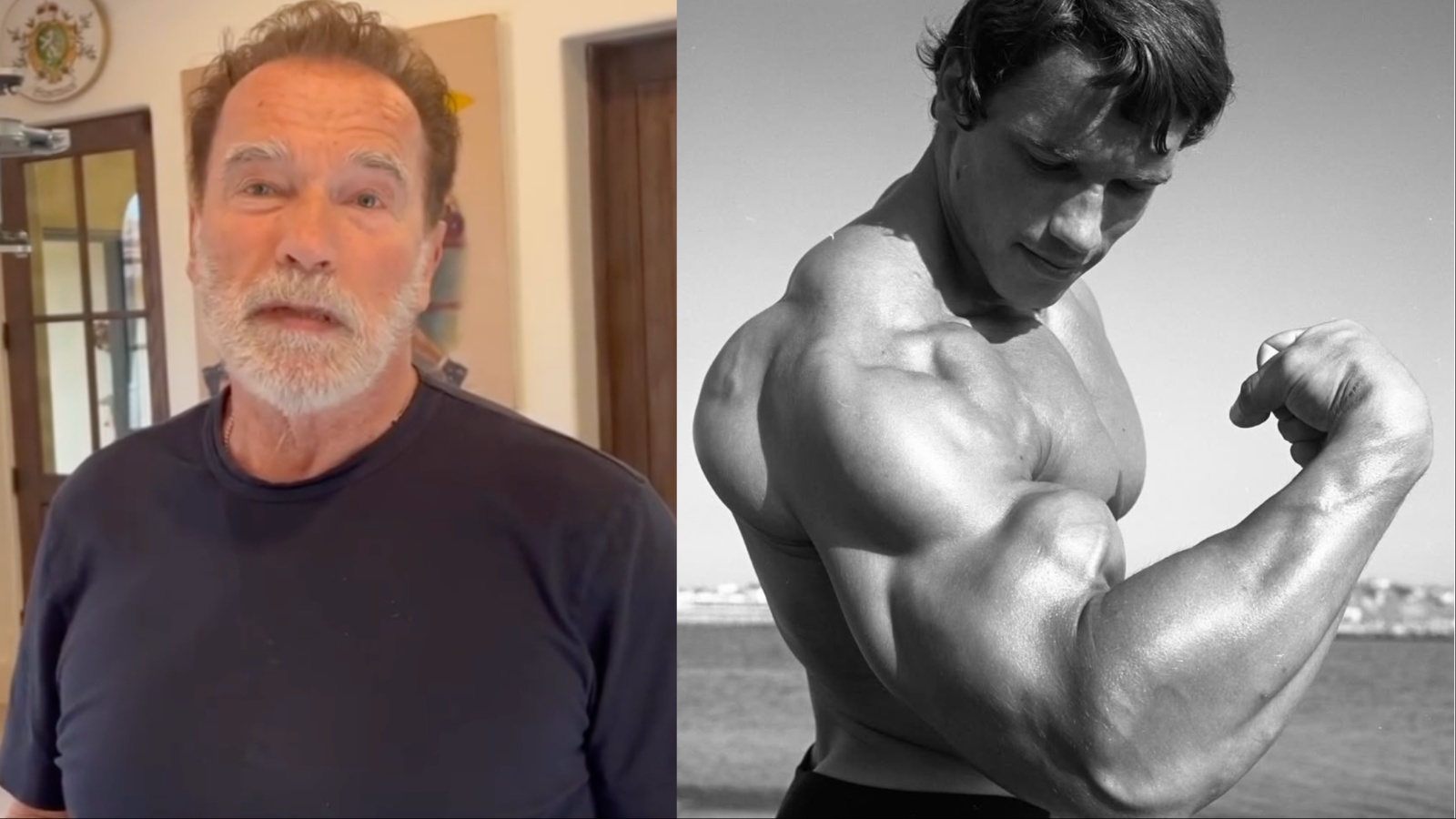 La légende de la musculation Arnold Schwarzenegger partage l'entraînement complet du poids corporel complet de 3 minutes en utilisant uniquement des haltères - Fitness Volt